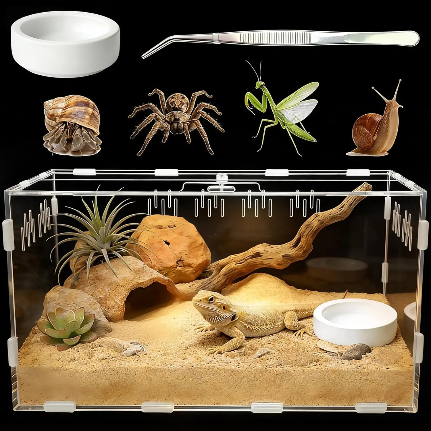 Reptile Terrarium, Tarantula Enclosure with Magnetic Door, Easy-Clean Reptile Tank for Spider Insect Gecko Mantis Frog Snail Isopods, Tweezer and Bowl Included