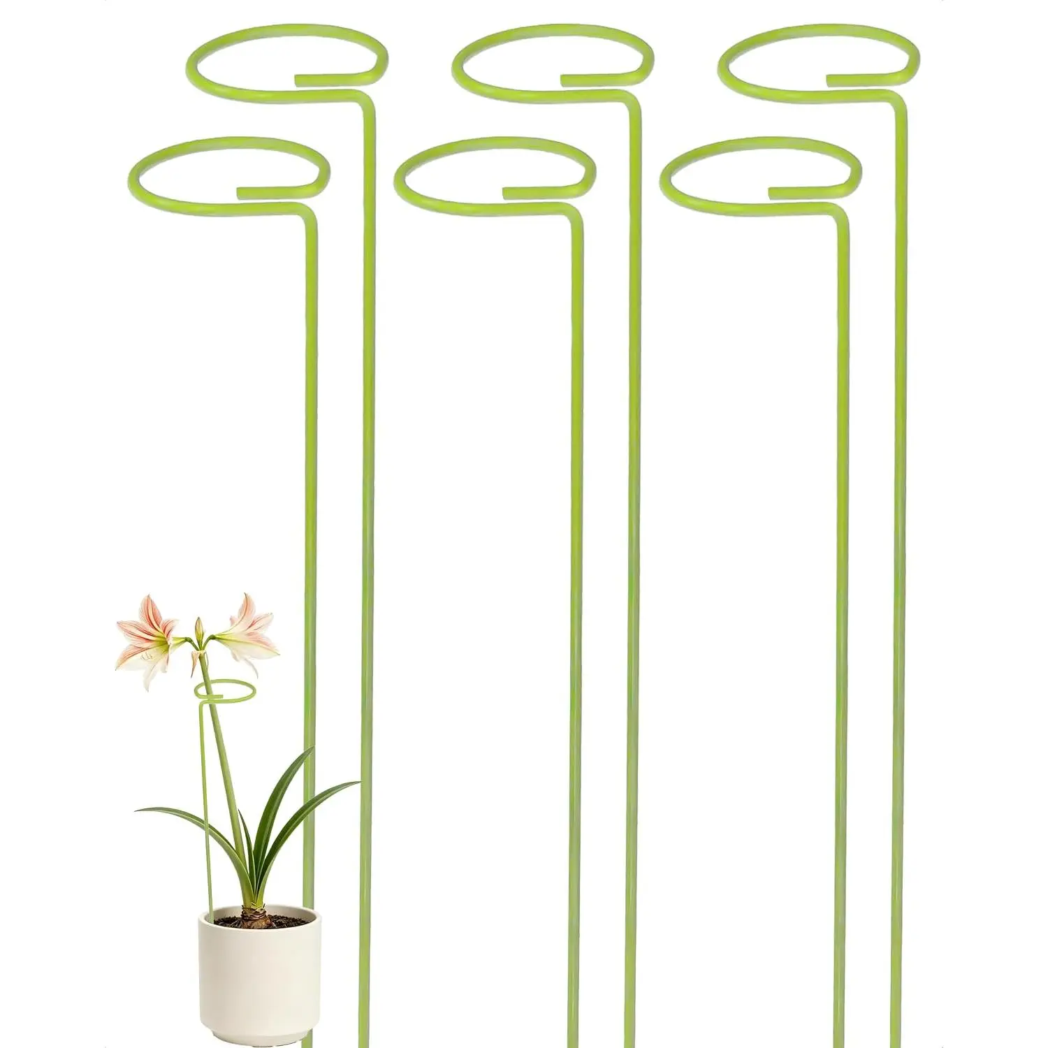 6-Pack  Support Stakes for Indoor , Monstera  Support & Tall Sticks, Heavy Duty Adjustable 15.8-Inch Garden Stakes for Amaryllis, Snake , Indoor Outdoor Use