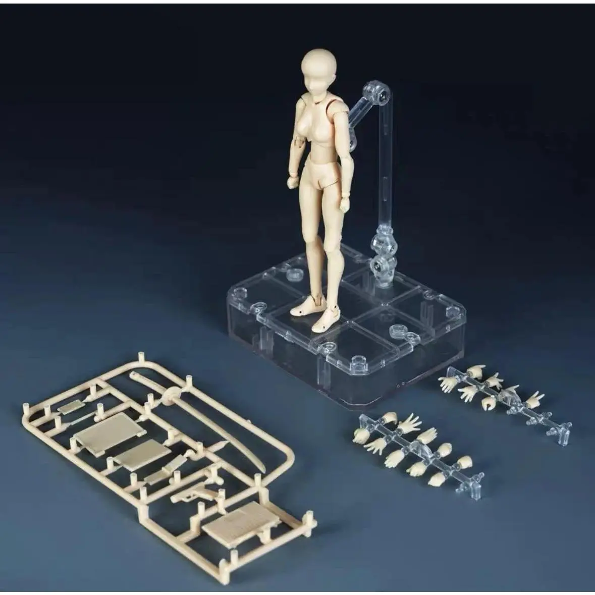 Movable Joints SH Figuarts Mannequin Body Kun Action Figures Model for Drawing Painting Various Gestures Model Stands