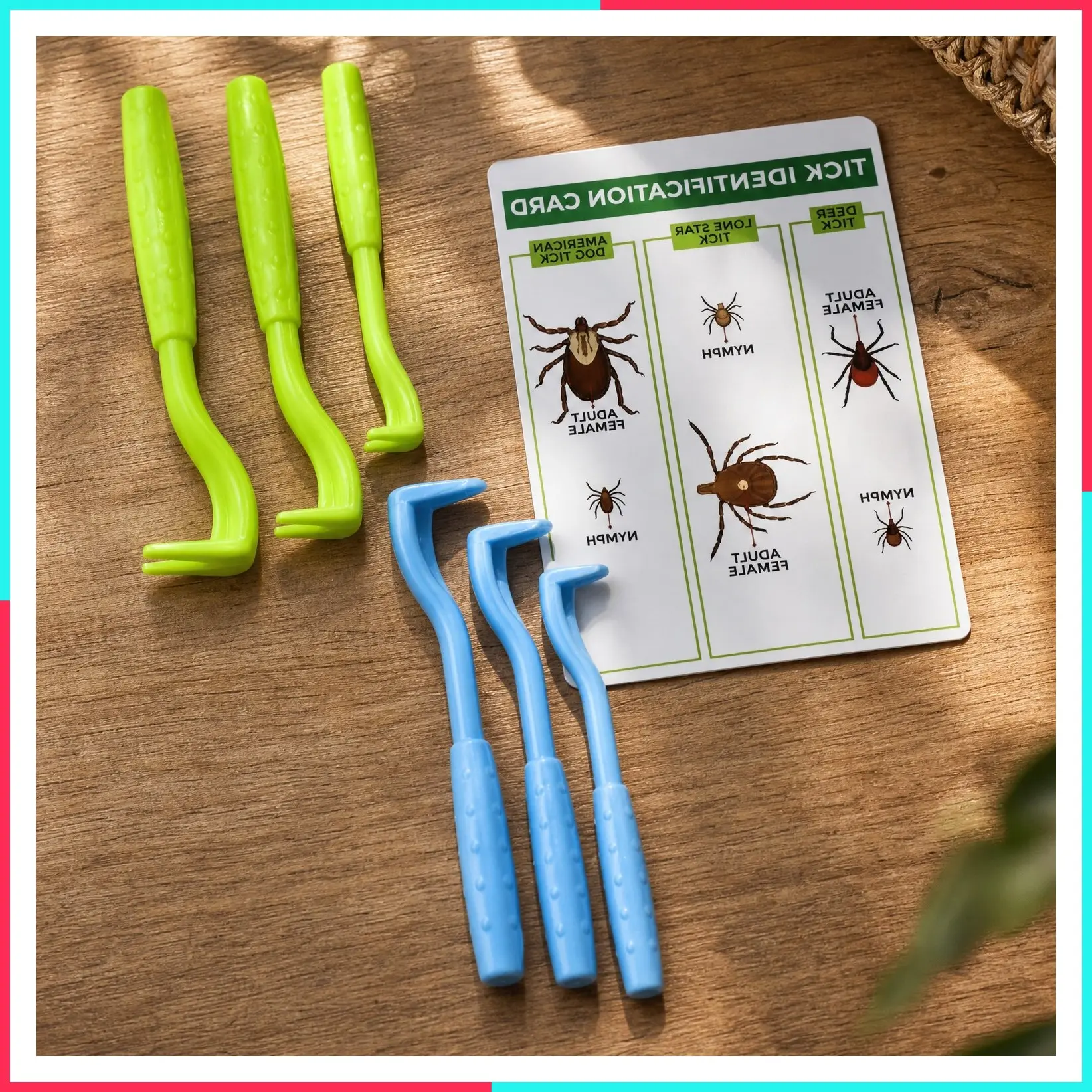Tick Removal Tool 6 Pack for Humans and Pets with Identification Card - Safely Remove Entire Tick Head and Body for Dogs and Cats
