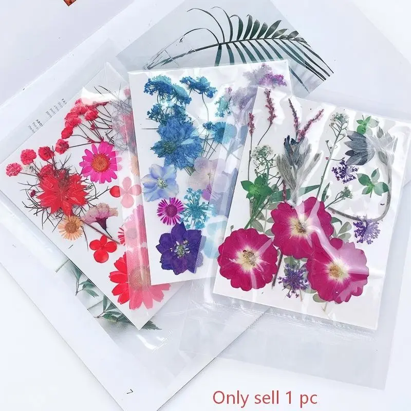 20 Dry Flowers Pressed Flower DIY Kit, Resin Dried Leaves Real Flowers Mixed Dry Flower Materials, Plant Specimen Collection Set