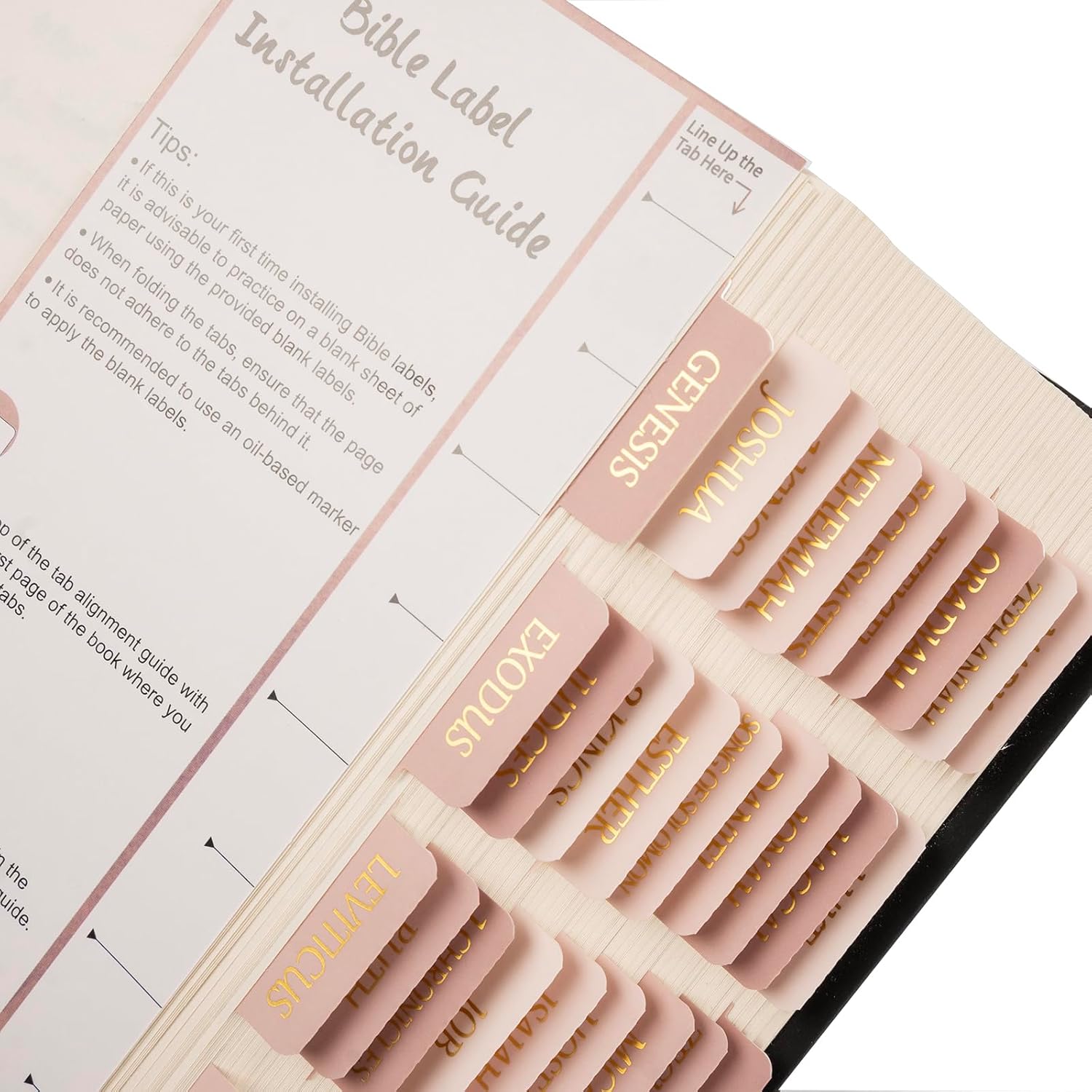 Laminated  Tabs,  Foil Large Print Lettering, 75 Tabs  Study Journaling Supplies, Christian  for Women and Men, She Reads Truth  ()