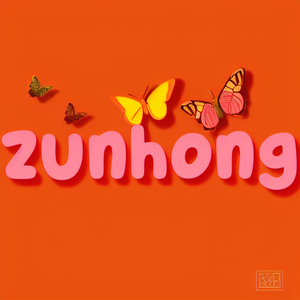Zunhong Direct Sales Store