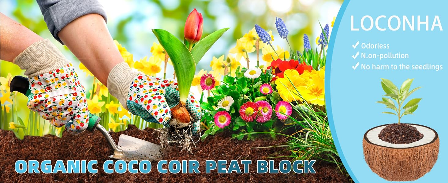 Coco Coir Bricks 6 Pack 100% Organic Peat Moss, Fiber Husk for Planting,, Potting Soil Substrate