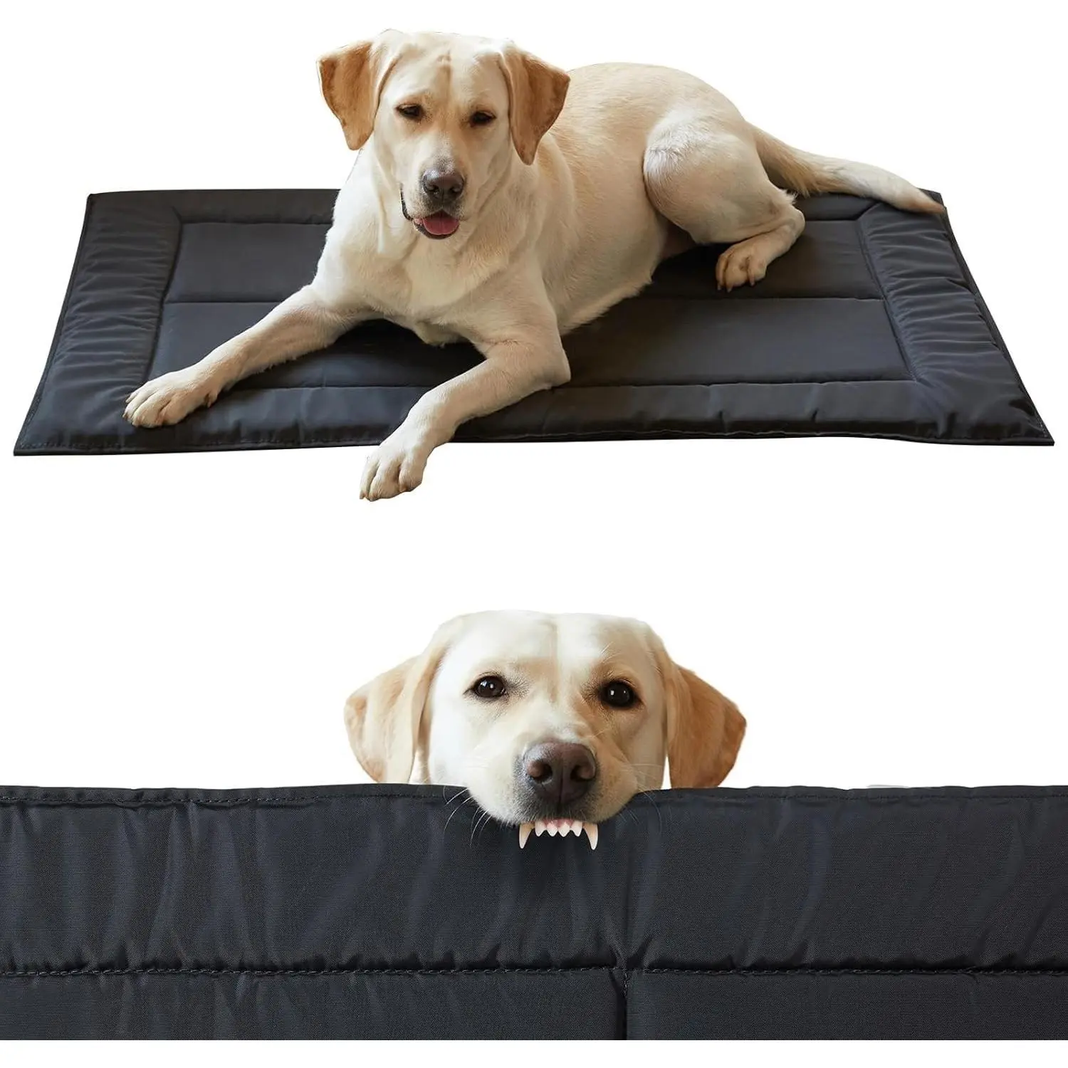 Chew Proof Indestructible Dog Bed, Durable Dog Crate Pad for Aggressive Chewers, Chew Resistant Fabric with Soft 1” 30D Foam Support, Tough Kennel Pad (Black, X-Small (17"x23"))