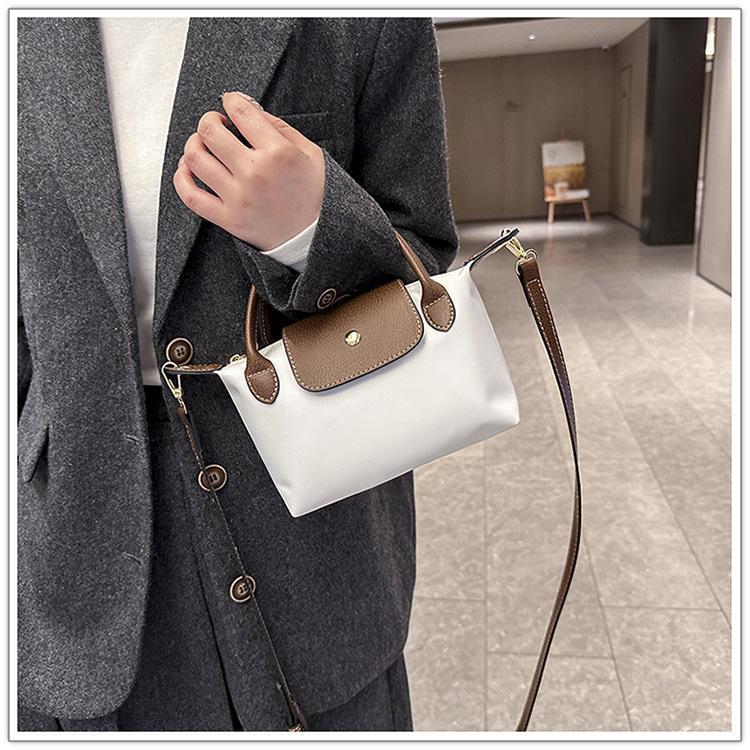 BIGWIG Nylon Mini Dumpling Bag, Waterproof Mini Coin Purse, Shoulder Bag, Crossbody Bag, Handbag, Versatile Daily Bag, Retro Style Bag, Soft Collapsed Shoulder Bag