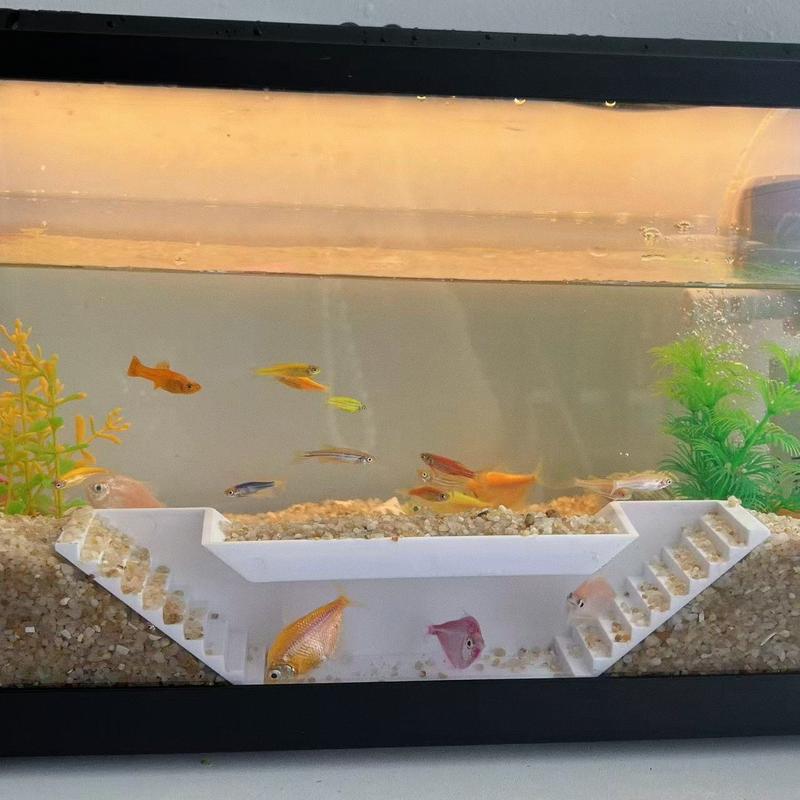 Aquarium Underground Two Hole Corner Cave Viewing Fish & Shrimp Tunnel Undergravel Hide Decor for Corydora Catfish Kuhli Loach Pleco Betta Fish Qita11