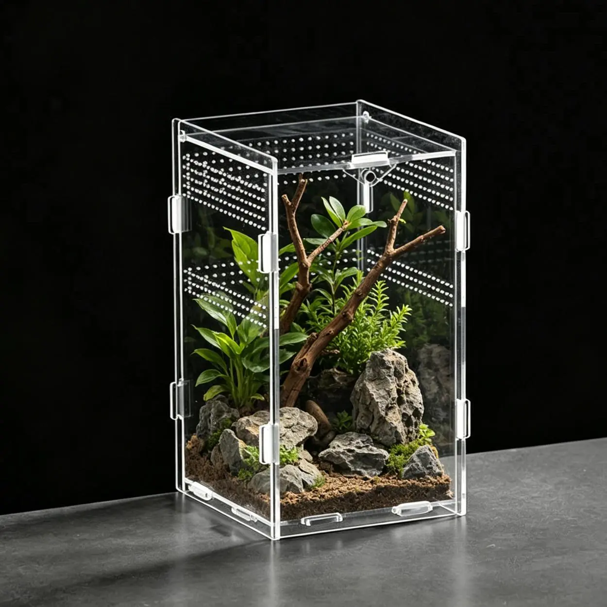 Acrylic Reptile Enclosure - Transparent, Ventilated Habitat with Locking Lid for Small Turtles, Frogs (Sports & Outdoor Camping & Hiking Camp Kitchen)