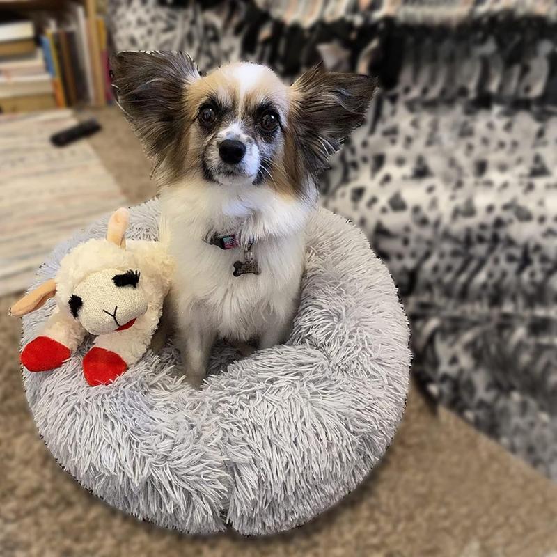 Cute Plush Dog Bed, Washable, Suitable for Small Dogs, 19 Inches, Anxiety-reducing Puppy Bed, Suitable for Dogs Weighing No More Than 15 Pounds.