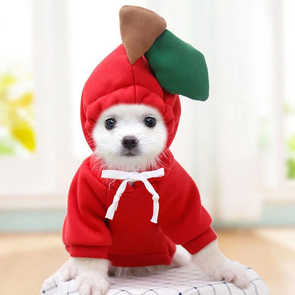 Cute Fruit Dog Clothes For Small Dogs Hoodies Winter Warm Fleece Pet Clothing Puppy Cat Costume Coat For French Chihuahua Outfit Cute Fruit Dog Clothes For Small Dogs Hoodies Winter Warm Fleece Pet Clothing Puppy Cat Costume Coat For French Chihuahua Outfit