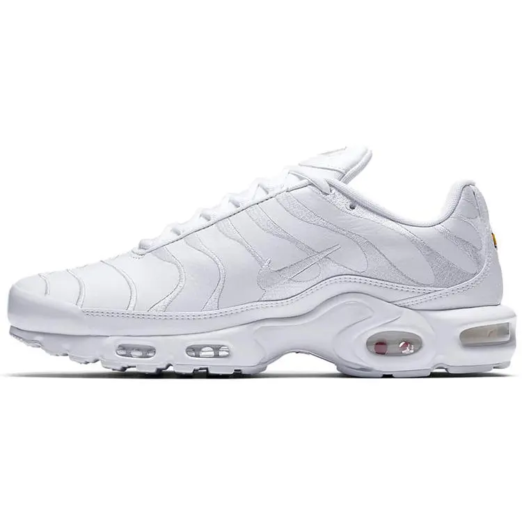 Nike Air Max Plus TN 'Triple White' AJ2029-100