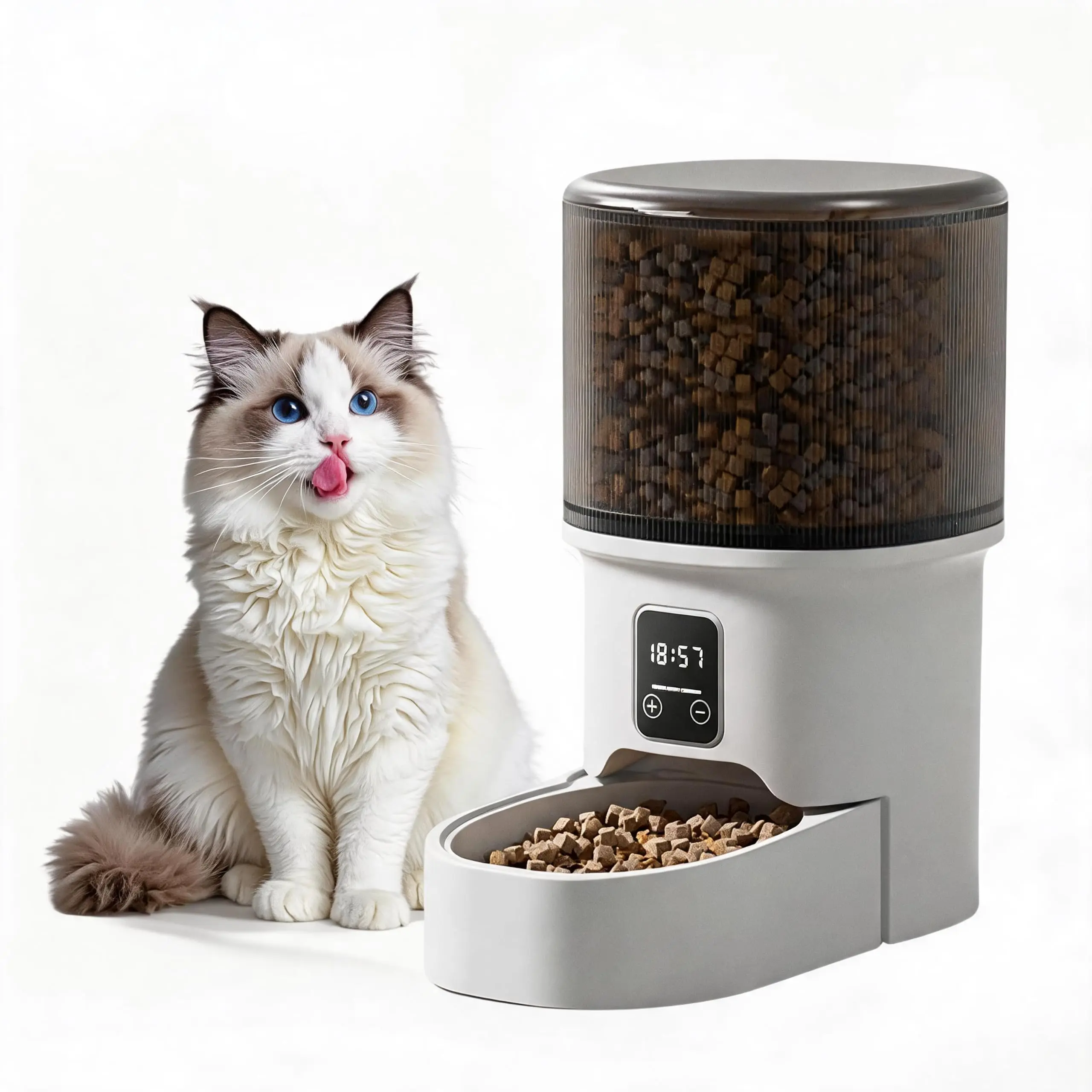 Automatic 4L Pet Feeder for Cats and Small Dogs with 6-Meal Programmable Timer, Portion Control, Dual Power Supply, Airtight Storage, Stainless Steel Bowl, Dampness-Proof, Easy to Clean, Transparent Black