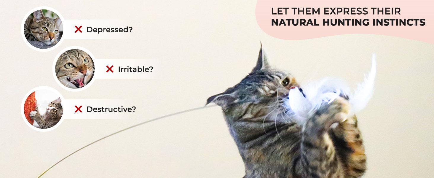 10pcs Interactive Bird Simulation Cat Toy Set, Interactive kitty Toys for Indoor Cats,whisker tons Cat Feather toy,Self-Holding Suction Base, Replacement Birds, Feathers & Bells, Simulated Mouse,Realistic Bird Impression,silvervine stick for