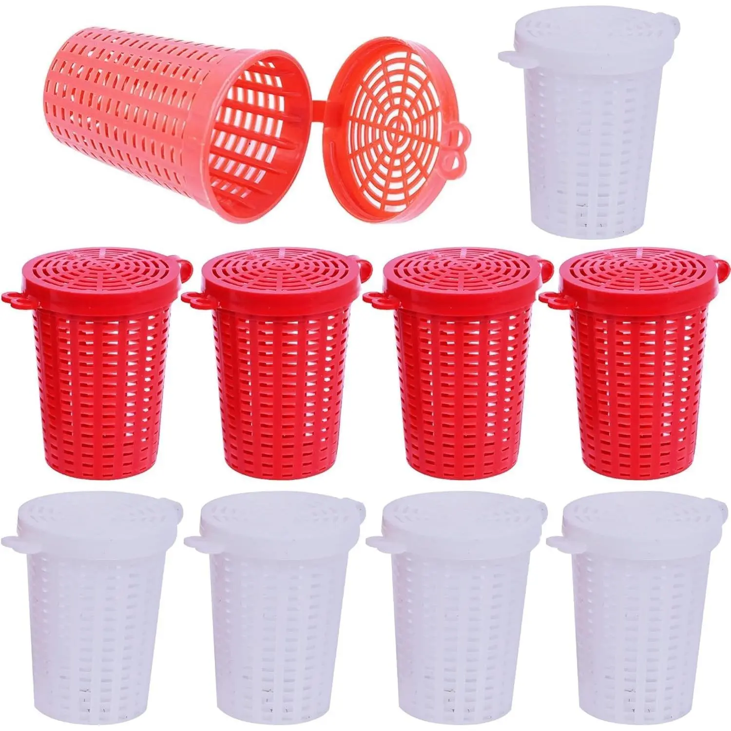 10-Pack Large Plastic Fishing Bait Cage Traps with Feeder Holder Box, Basket & Barrel Case - Bait Keeper for Shrimp, Earthworm, Crab, Minnow, Crawfish, Carp, Catfish in Cast Nets & Tackle Kit