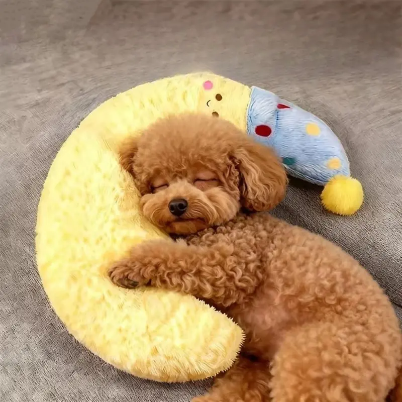 Pet Throw Pillow Cat Toy Dog Toy Moon Pillow Cat Pillow Large Dog Dog Pillow Removable