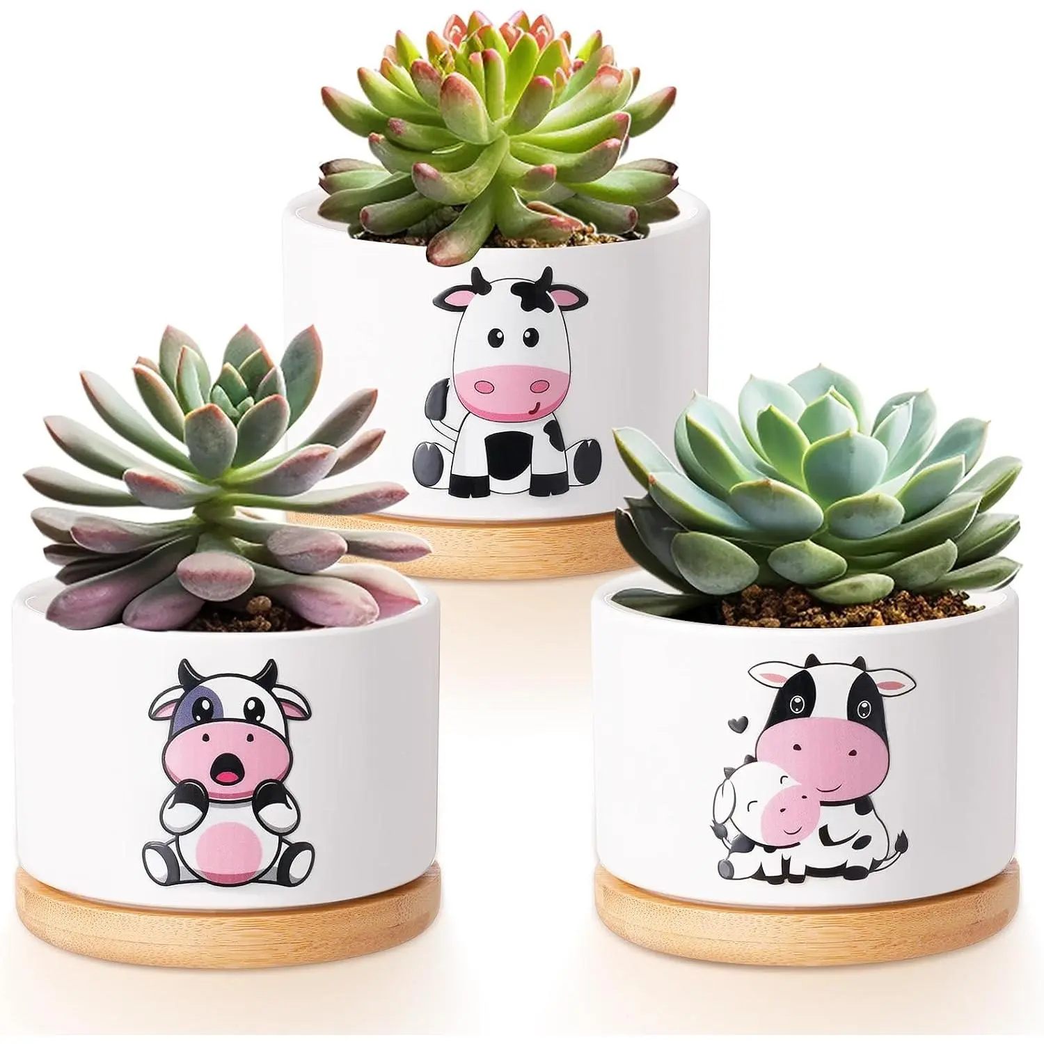 3 count Cow Gifts for Women Cow Planter Succulent Pots with Drainage and  Tray Small Ceramic Succulent Planters   Pot for Christmas Office  Decor  Lovers