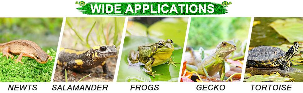 Small Turtle Basking Platform Simulation Grass Turtle Ramp, Turtle Resting Basking Dock Floating Décor for Aquatic Turttle Reptile Frog Terrapin LITTLE CRITTERS VET