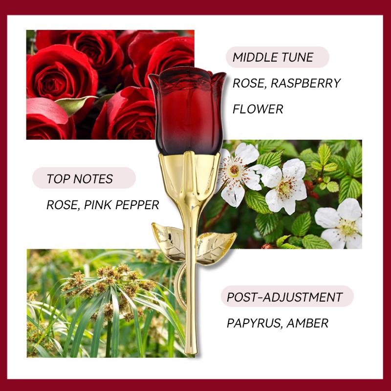 Midnight Rose Perfume for Women, Long-Lasting Fragrance, Unique Scented Gift, Ideal for Daily Use, Dates, Parties, Floral Perfume Oil, Floral Citrus