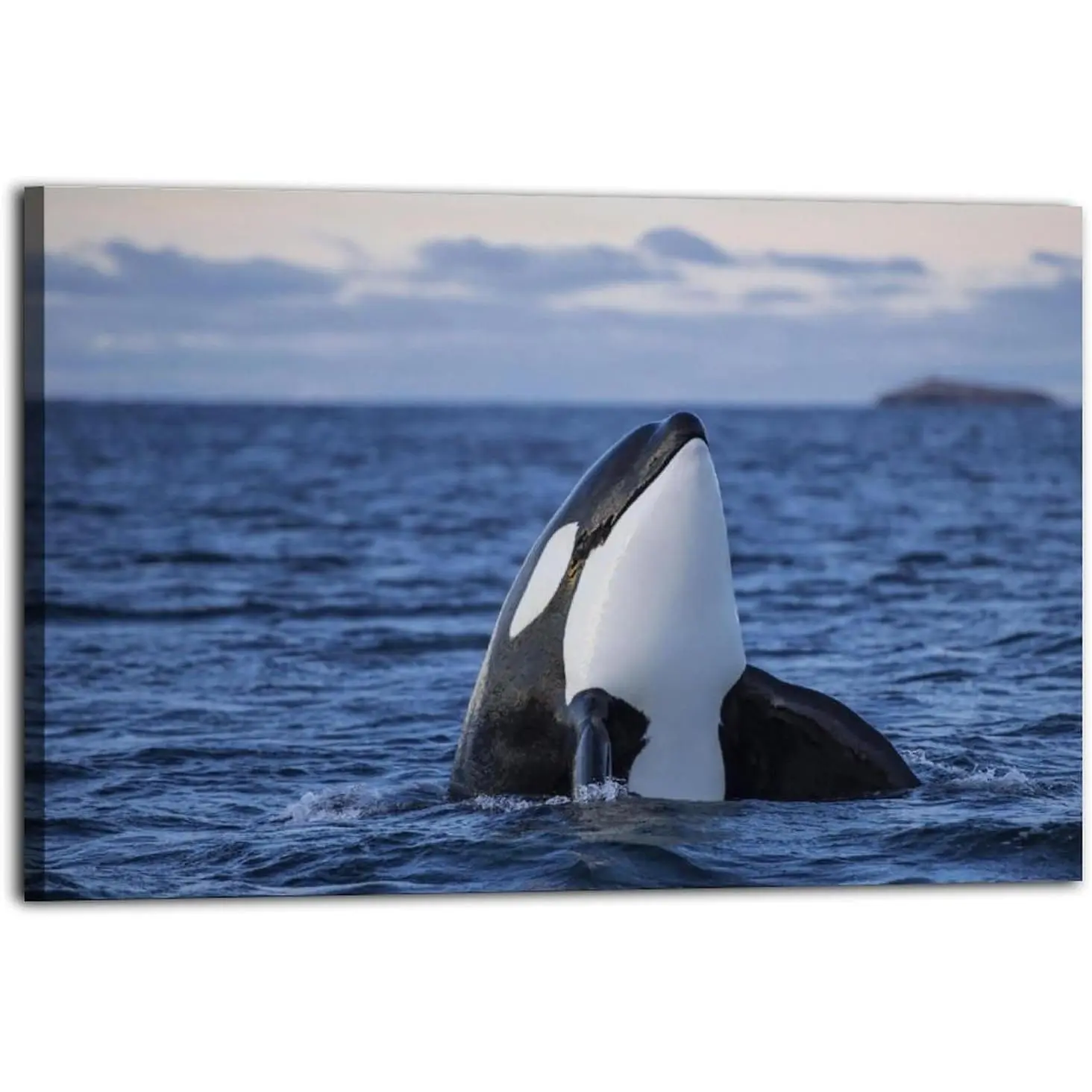 Orca Or Killer Whale Island Landscape Poster Poster Canvas Wall Art Painting Print Room Aesthetic Decoration