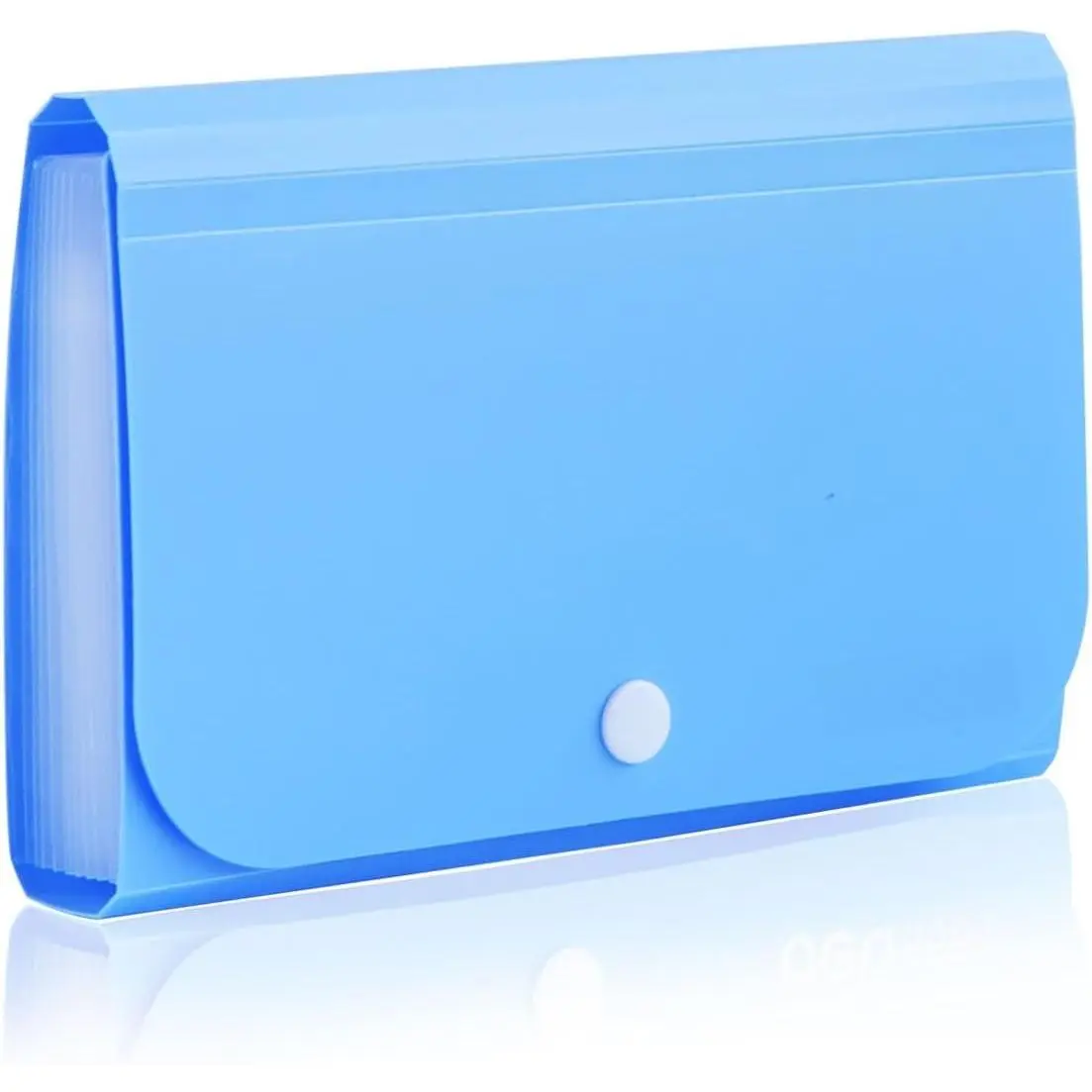 Expanding File Folder, Subdivision Accordion File Folder Mini Organizer PP Wallet for Cards,,Receipt,Tax Item or Changes,7x4.5 Inches,12 Pockets with Tabs and Check Case(Blue)