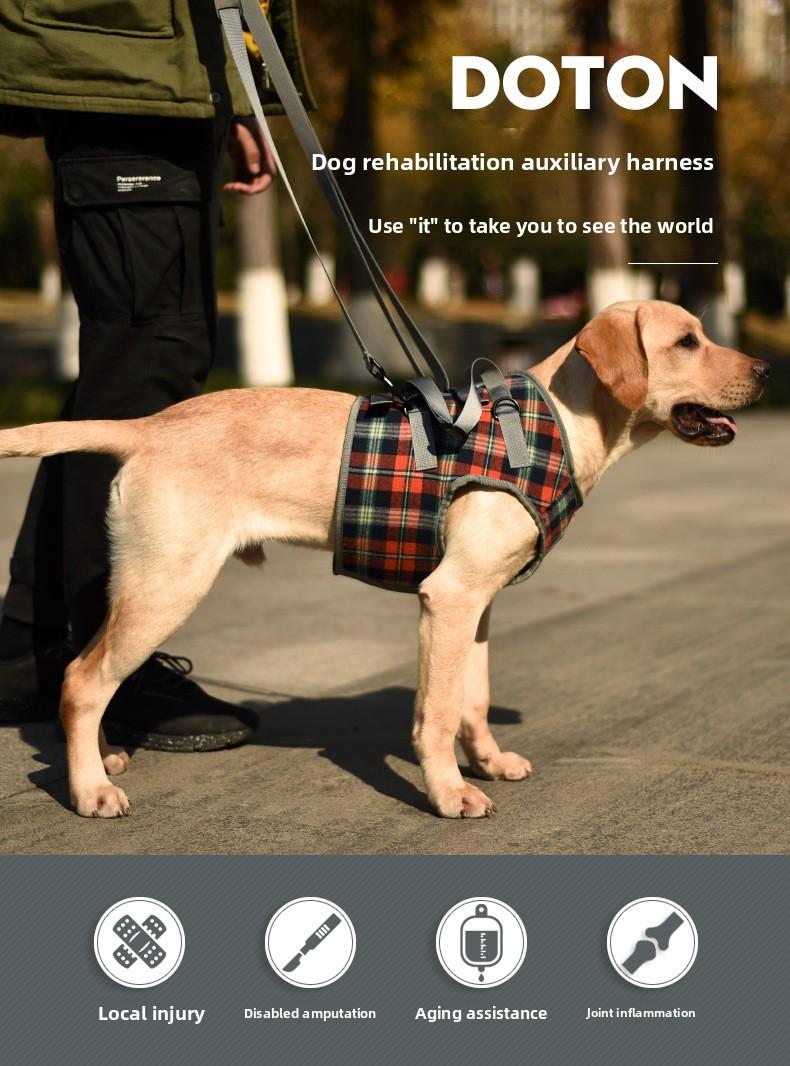 Dog Rear Leg Recovery Sling Post-Operative Rehabilitation Harness for Senior & Disabled Dogs Assistive Walking Leg Brace New Arrival Support Harness Injury Aid