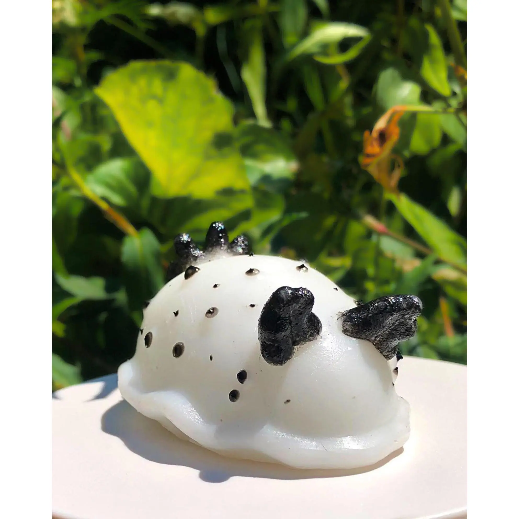 SQUISHY Sea Slug Nudibranch silicone stress buddy