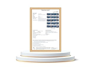 Stroller Arch Toy for Baby, Musical Carseat Toys Hanging with Teething, Baby Mobile for Crib Bassinet Car Seat and Bouncer, Car Seat Activity Toy for Babies 0-12 Months