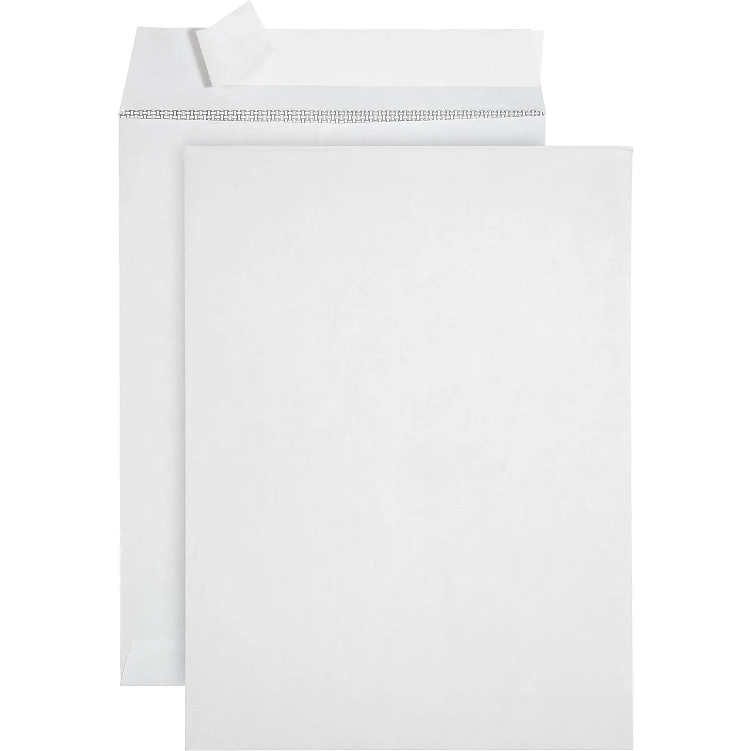 100 Pack 9 X 12 Self Seal Security Catalog Envelopes, Strong Peel and Seal Flap Designed for Secure Mailing, Can Securely Hold up to 60 Sheets of Paper