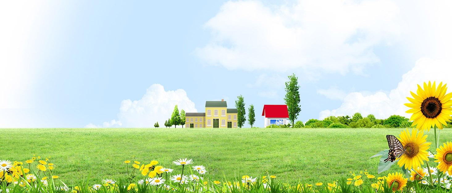 PetSoKoo Cute Bowtie Cat Collar with Bell. Japanese Stylish Bowknot & Fish Charm. Safety Breakaway, Soft, Lightweight, for Girl Boy Male Female Cats Kitten,Green