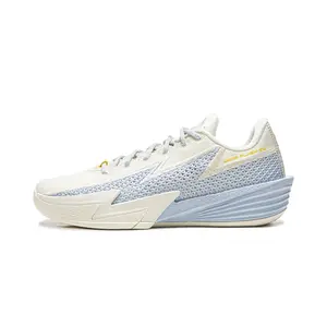 Wade Flash 2 "Ice Blood" Pro Basketball Shoes