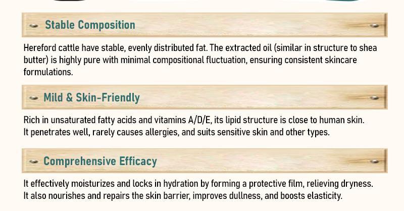 Aussie Betta Golden Micro-Peptide Tallow Serum with Niacinamide & Bifida Skin Repair Formula for Fine Lines & Dark Spots No Irritation Visible Results Firm Anti Aging Firming Deep Hydration| Gift Christmas Skincare