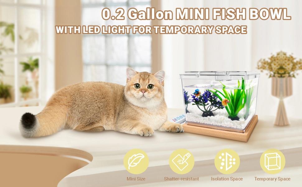 Mini Betta Fish Tank Kit with LED Light Base, Small Fish Bowl for Temporary Space, 0.2 Gallon Stackable Cube Tank with Artificial Plants for Small Fish, Insect, Shrimp, Crab, Spider (Kit-2)