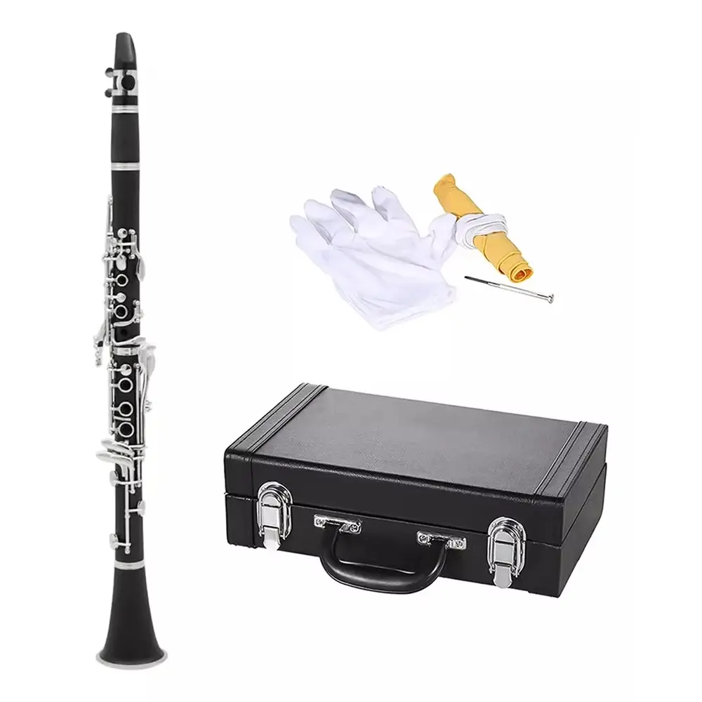 Slade German Style G Flute, Resin Body, 17 Keys, Includes Cloth Box and Accessories, Musical Instruments, Perfect for Music Lovers