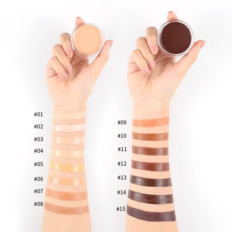 15 Shades Color Matching Concealer Palette Cover Acne Marks Dark Circles Tear Troughs Non-Caking Foundation Concealer