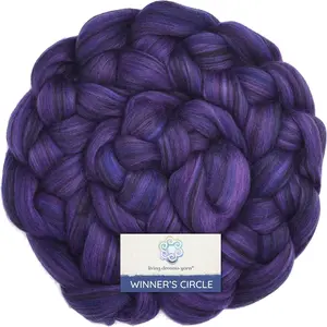 Super Soft Superfine Merino Combed Top Roving for Spinning & Felting, Stunning Color Blends Larkspur