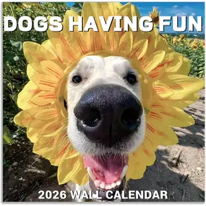 2026 Wall Calendar - JAN 2026 - DEC 2026, Funny  Calendar 2026, 12" x 24" Opened, 2026 Calendar, 12-Month Calendar, Funny  Memes Pics