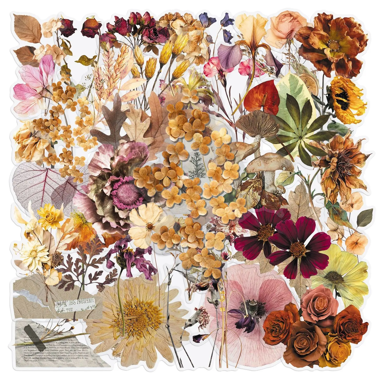 50Pcs Transparent Dried Plant Stickers, Vintage Floral Dry Flower Specimen, Realistic Waterproof Pet Decorative Stickers for Bullet Journals