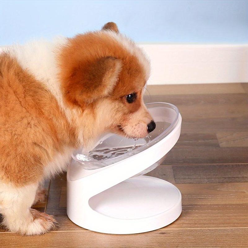 Ergonomic 15-Degree Tilt , Suitable for Cats and Small Dogs - Neck Comfort Enhancing Stand, Anti-Vomiting Design, Smooth Curved Plastic for Food and Water, White, Anti-Vomiting | Fashion | Stable pet wate bowl Ergonomic 15-Degree Tilt , Suitable for Cats and Small Dogs - Neck Comfort Enhancing Stand, Anti-Vomiting Design, Smooth Curved Plastic for Food and Water, White, Anti-Vomiting | Fashion | Stable pet wate bowl