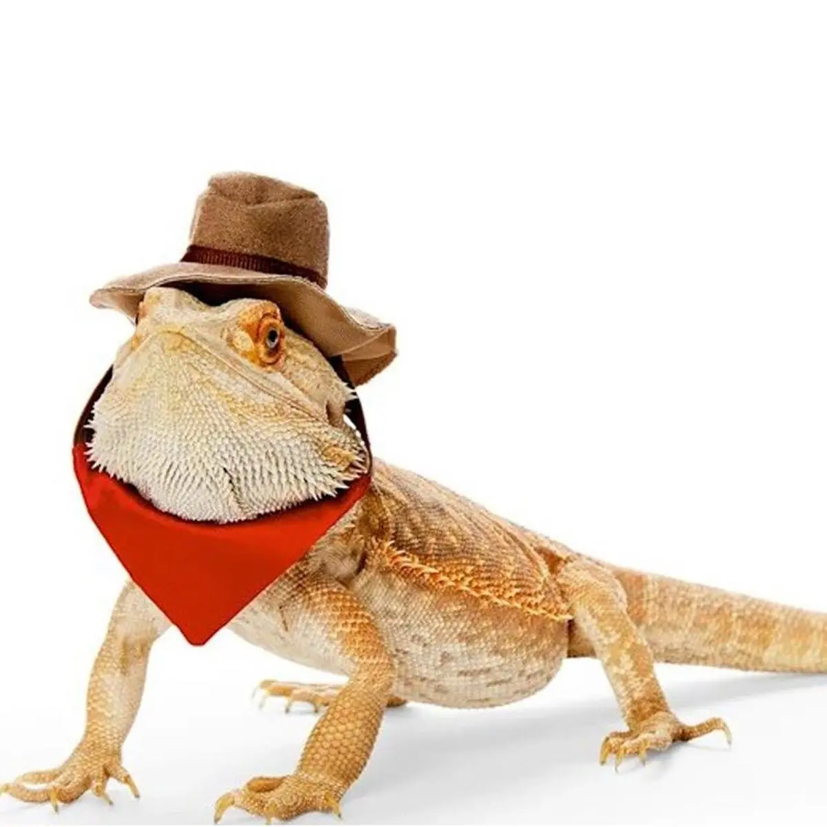 Adjustable Reptile Costume Set, Cute Western Cowboy Hat & Bandana Scarf, Photo Prop Accessories for Bearded Dragon Lizard, Small Reptile Pet Decor for Party & Daily Use