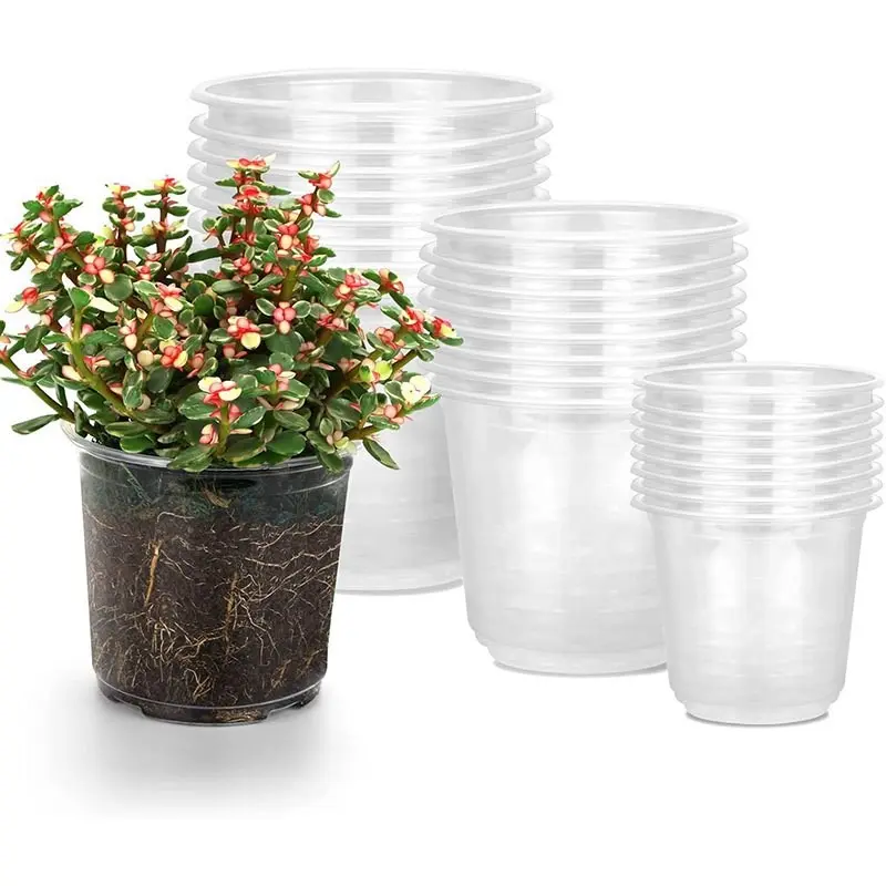 24-Piece Transparent Seedling Pots, 4/5/6 Inch Plastic Planters with Drainage Holes, Durable Multi-Size Containers for Indoor Outdoor Use