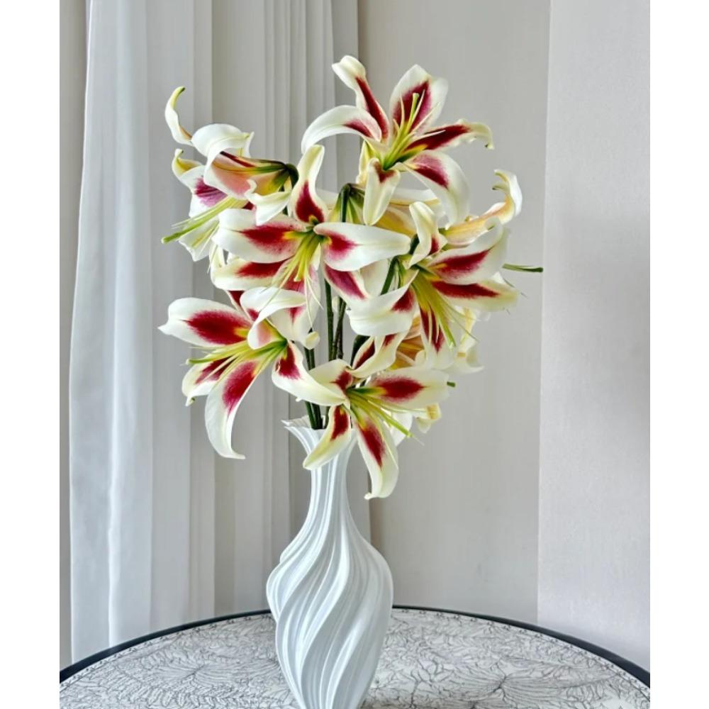 Wangchuan Autumn Water Lotus - Solid Bulbs + Bright Flowers + Compact Potted Flowers