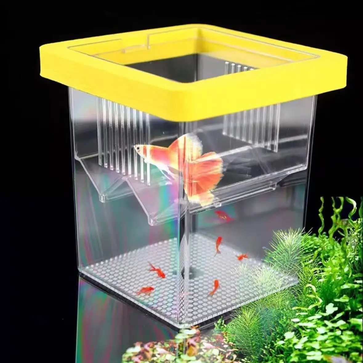 Double Layer Fish Fry Isolation Incubator Box, Enclosure, Guppy, Angelfish, Small Fish Fry Isolation Box, Floating Suction Hanging Incubator