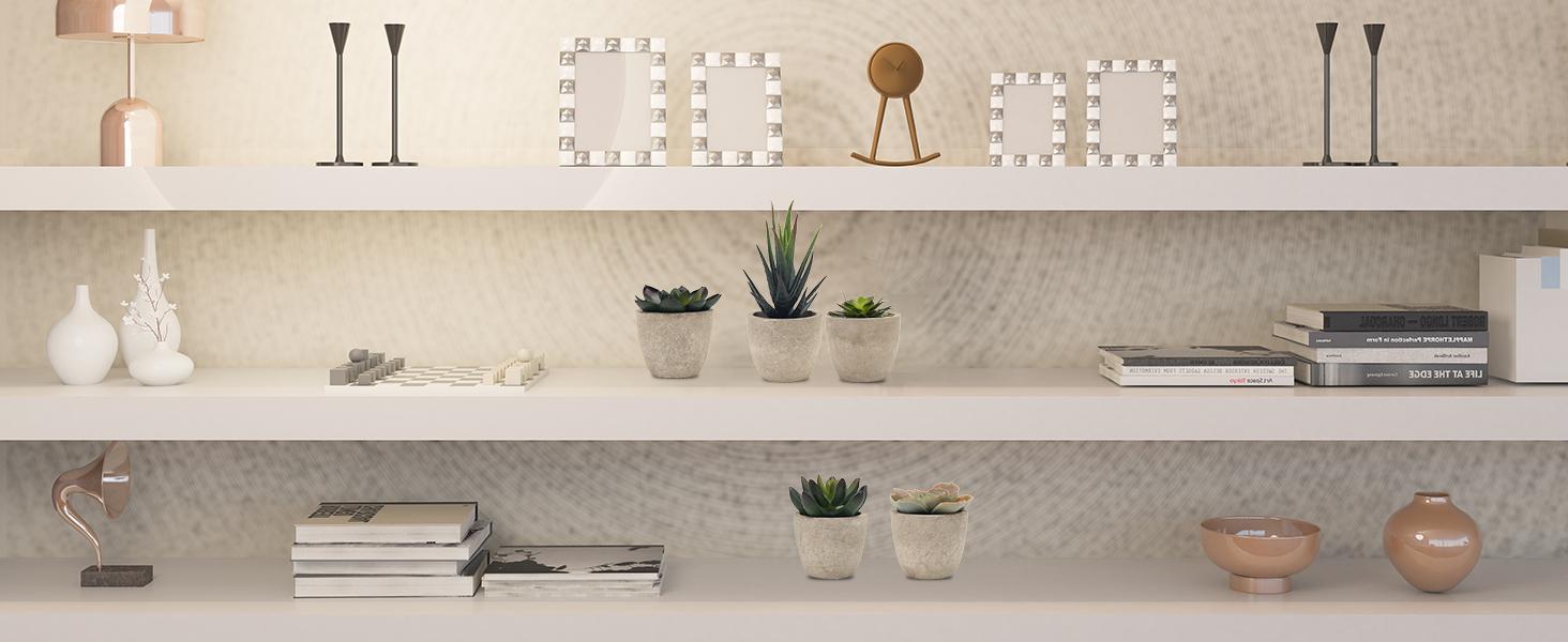 Artificial Succulent Plants Potted, Assorted Decorative Faux Succulent Potted Fake Cactus Cacti Plants with Pots, Set of 5