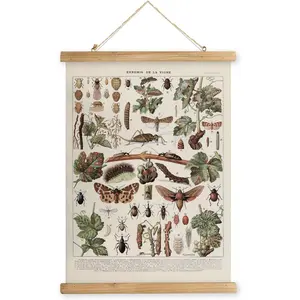 Vintage Vineyard Pests Identification Chart - Rustic Wall Hanging Educational Poster with Wooden Scroll Frame - Ideal for Wine Enthusiasts and Gardeners 16 23 Inches