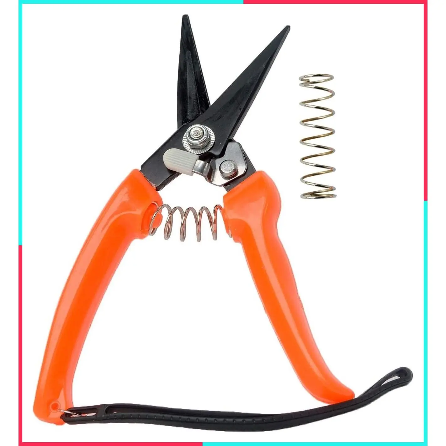 Carbon Steel Hoof Trimmers for Goat Sheep Alpaca Lamb Pig - Multiuse Nail Clippers Shears