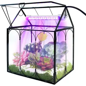 Plant Terrarium Kit with Grow Light, Rifny Small Glass Terrarium Jar with Absorbent Mat and Lid for Venus Fly Trap Succulent Live Air Plants Indoor Home Office Decor (Black, 7.1 x 4.8 x 8.8 inch)