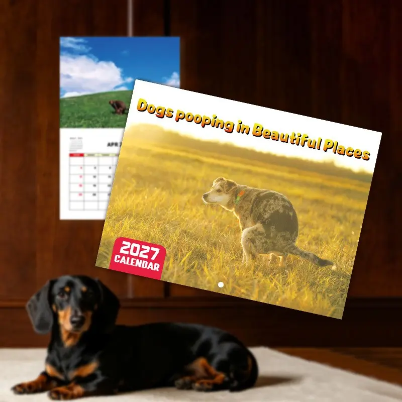 2026 Funny Dog Poop Calendar, Cat and Dog Theme Wall and Desk Calendar, 12-Month Humorous Planner for Pet Lovers, Unique Gift Idea