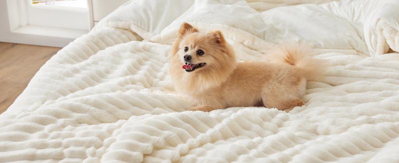 BEDELITE Flannel Comforter Set Super Soft & Warm Fluffy Pink Valentine's Day gift - Elegant Striped Design for Winter - Twin/Queen/King Sizes Machine Washable BEDELITE Flannel Comforter Set Super Soft & Warm Fluffy Pink Valentine's Day gift - Elegant Striped Design for Winter - Twin/Queen/King Sizes Machine Washable