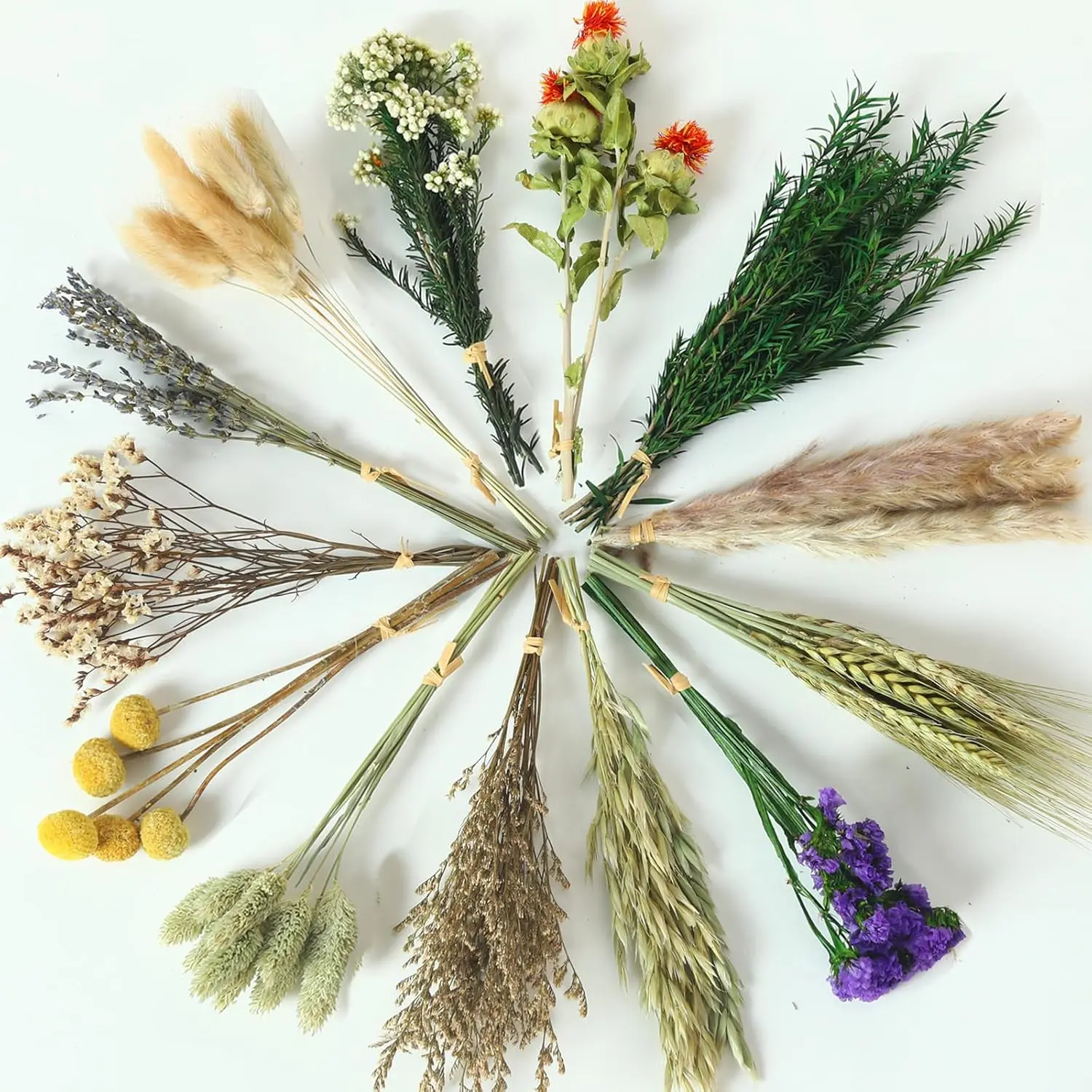 Dried Flowers with Stems for Crafts, 5-8 Inch 13 Varieties Natural Mini Preserved Floral Bouquet, Boho Fall Decor for DIY Wedding Home Vase Arrangement, Pampas Grass Alternative (Brown)