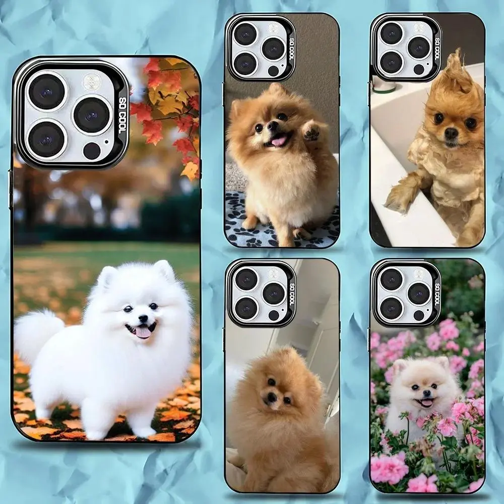 Cute Pomeranian Personalized Hard Plastic Phone Case, Black Matte Hard Bumper, Anti-Fall Protection Accessories For iOS iPhone 11-17 Pro Max/Plus & Android Samsung Galaxy S23-S25, Ios/Android